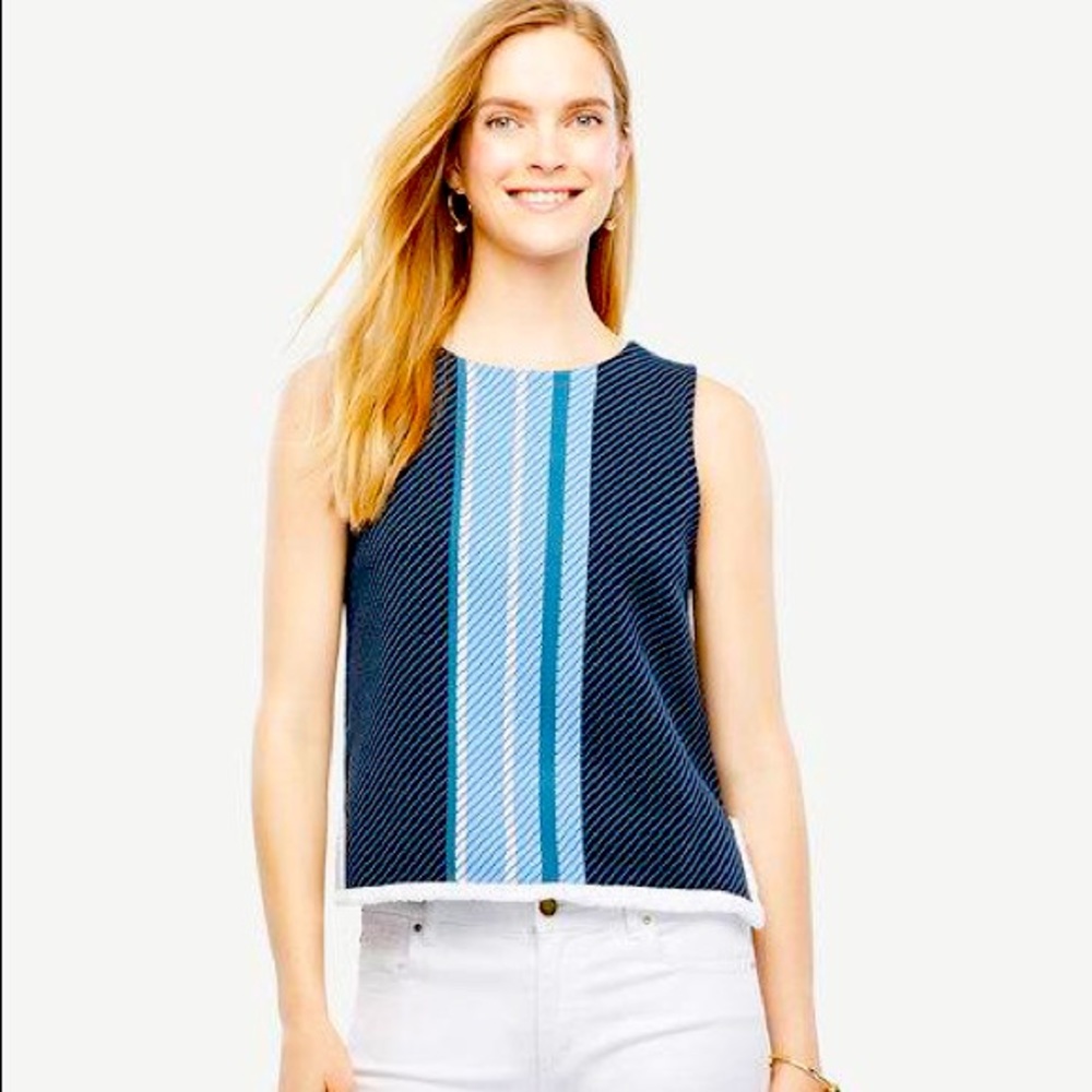 Ann Taylor Sweater